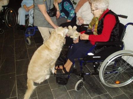 Hundeschule und Hundetherapie